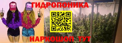 дурь Лесосибирск