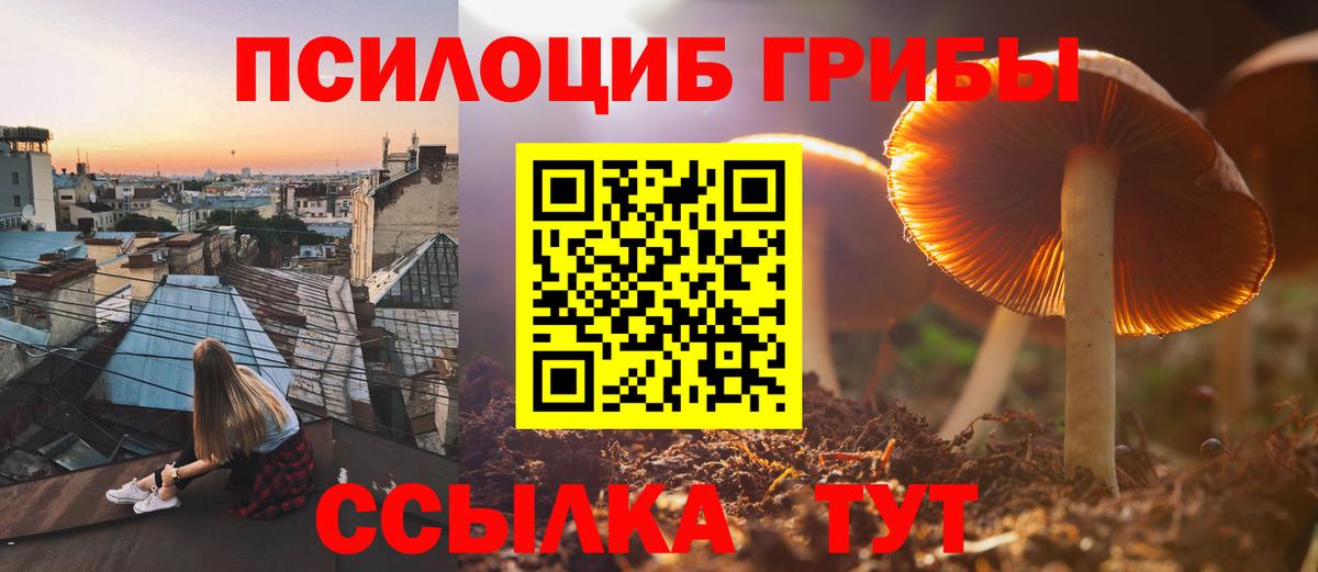 Галлюциногенные грибы Magic Shrooms  Галлюциногенные грибы прущие грибы  Вход с VPN  Ижевск 