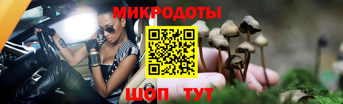 Псилоцибиновые грибы Cubensis Ижевск